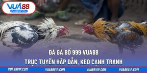 Đá gà bồ 999