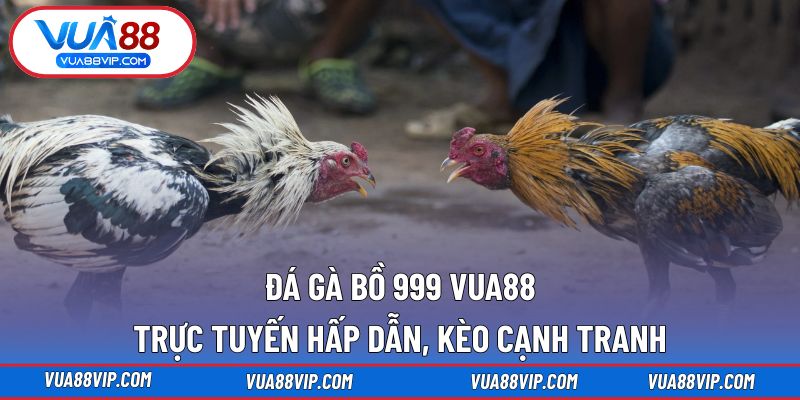 Đá gà bồ 999