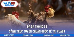đá gà thomo c6