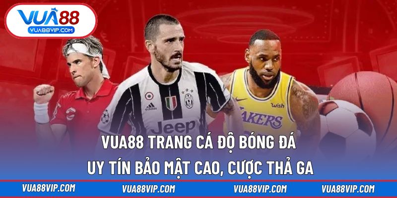 VUA88 Trang Cá Độ Bóng Đá Uy Tín